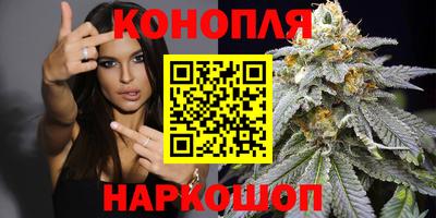 прущие крисы Пугачёв