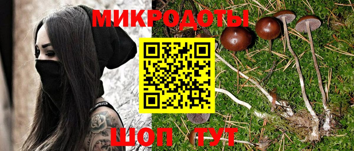 Галлюциногенные грибы Psilocybine cubensis  Вход с VPN  Ставрополь  закладка  Галлюциногенные грибы мицелий 