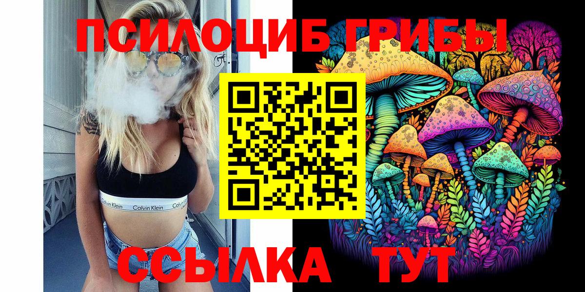 Псилоцибиновые грибы Psilocybine cubensis Ставрополь